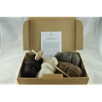 The Wool Barn - Ovillo (wb-7)